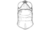 Chibchacris furcata Hebard, 1923: Fig. 9. male, head and pronotum of male, dorsal view. (Otu).