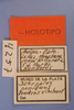 CollectionObject 1513133; d635d6bc-f50f-44a8-a251-ee5b94e7e869, MLP4257/1: labels (holotype). (CollectionObject).