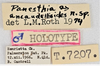 CollectionObject 1618748; 4fc3225e-0ec1-4590-985d-7a2981cf4c64: (CollectionObject).