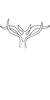 Aedeagus, ventral view on Edwardsiana ruthenica Zakhvatkin, 1929: Aedeagus, ventral view (after Zachvatkin). (Observation).