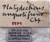 labels (paratype). Depicts CollectionObject 1541815; b11a9d1c-e740-40b6-bd45-7faa2e5cdc34, a CollectionObject.