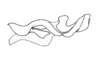 Chloropseustes leucotylus Rehn, 1918: Fig. 32C. endophallus, lateral view. (Otu).
