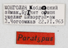 CollectionObject 1588501; a9d12259-7d23-41c3-97f4-36b8caf6290c: labels (paratype). (CollectionObject).