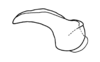 Phaeoparia depressicornis (Bruner, 1908): Fig. 61B. cingulum, lateral view. (Otu).