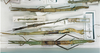CollectionObject 1557692; c7e64bc1-2b91-4afe-8725-f5e89ebd480a: copyright MNHN, Panel coll., Paris. female (syntype), possibly also male / two female syntypes. (CollectionObject).
