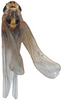 Habitus, dorsal view on Anufrievia liubana Yang & Zhang, 2018: Habitus. (Observation).