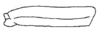 Callimenellus fumidus Walker, 1871: Fig. 21. forefemur. (Otu).
