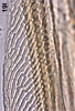 Ovipositor on Bretega furciverpa Stiller, 2017: Valvula I, subapically. (Observation).