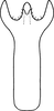 Aedeagus, ventral view: Aedeagus (E. vulnerata Fitch), ventral view. (Observation).