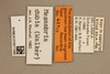 CollectionObject 1611548; 02138bb2-a717-4ef4-8eb3-3374bce2d0f8: labels. (CollectionObject).