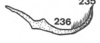 Stylus on Anisostylus stylatus Caldwell, 1949: (Observation).
