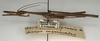 CollectionObject 1557153; NMW 959, ce24eb61-01cd-4e02-8d99-26a45cd3535c: copyright NMW, Vienna. male, lateral view of Asceles brevipennis (holotype). (CollectionObject).