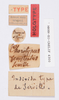 CollectionObject 1540250; 667eab86-5a2f-412b-98aa-e168ae6ac9bc: labels (holotype). (CollectionObject).