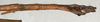 CollectionObject 1557743; NMW 536, c820ed84-b37c-4a34-8e08-66ec7d2fccbe: copyright NMW, Vienna. male: end of abdomen, lateral view (syntype). (CollectionObject).