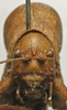 CollectionObject 1534976; fd2f53a9-d275-43dd-b680-4ee0d4295371: male, frontal view (lectotype). (CollectionObject).