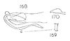 Acanalonia servillei Spinola, 1839: (168) Aedeagus, right side: (169) shorter branch of outer process of aedeagus more enlarged; (170) apical portion of inner process of aedeagus, more enlarged, slightly dorsolateral view. (Otu).