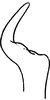 Stylus on Arbelana ulmi (Anufriev, 1969): Stylus. (Observation).