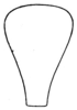 Conocephalus (Opeastylus) vitticollis (Blanchard, 1851): Pl. XXII, Fig. 2. outline of cephalic view of fastigium (male). (Otu).