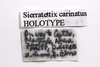 CollectionObject 1523456; 978bc91e-803f-4c64-b027-3490c1c18610: labels (holotype). (CollectionObject).