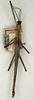 CollectionObject 1560556; NMW 743, 995663b3-587b-46a5-955a-960f39ed8d4e: copyright NMW, Vienna. male (holotype). (CollectionObject).