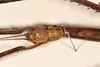 CollectionObject 1561204; a6e75a64-5bb5-4e33-94cb-b4702485f890: copyright OUMNH. female: head, dorsal view of synonym Bacteria sarmentosa (holotype). (CollectionObject).