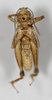 CollectionObject 1588503; 1a8e9e64-44e4-4537-90b2-8c2c3b659842: male, ventral view. (CollectionObject).