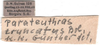 CollectionObject 1501715; 5bc1caee-ffd2-4306-9285-45c027a4fdee: labels. (CollectionObject).