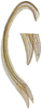 Ovipositor on Anuihuajianga pyramidalis Zhang & Song, 2022: valvula II, lateral view. (Observation).