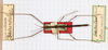 CollectionObject 1557775; 6187484c-f221-4886-b8cf-5572bedf841e: copyright MHNG, Geneva. female, dorsal view (holotype). (CollectionObject).