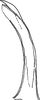 Aedeagus, lateral view: Aedeagus, lateral view. (Observation).