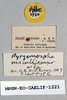 CollectionObject 1573873; f798b1c1-6279-4dee-9f8a-63c702e7faf7: female, labels (allotype). (CollectionObject).