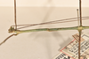 CollectionObject 1557324; 88f5273c-3787-4a94-a576-769194d15fb7: copyright OUMNH. male: head & thorax, lateral view (holotype). (CollectionObject).