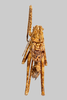 CollectionObject 1499290; 99d63244-8542-42bd-939b-6f09794e50ff: Male, dorsal view (holotype). (CollectionObject).