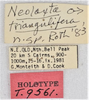CollectionObject 1618740; d262f3a4-738d-4b2a-866e-c510ecad6289: (CollectionObject).