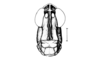 Incacris phaenogaster Rehn, 1942: Fig. 138. male head, frontal view. (Otu).