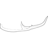 Pygofer appendages: !! display not done !! on Alebroides flavifrons Matsumura, 1931: Pygofer appendage. (Observation).