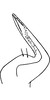 Stylus on Scaphoidella arboricola Vilbaste, 1968: Stylus. (Observation).