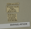 CollectionObject 1572907; 905966c8-f5e6-4dbe-9241-b250600d9c81: Copyright Natural History Museum, London. Labels from non-type (adult male) in BM(NH). (CollectionObject).