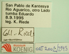 CollectionObject 1503571; e1949db0-91a6-43af-9853-092b5e21f63e: ZFMK-ORT2002-2145L. labels. (CollectionObject).