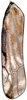 Forewing: Forewing (E. vulnerata Fitch). (Observation).