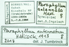 CollectionObject 1584424; 55e75c53-a67c-4528-bcd8-6d6d9fe43220: labels. (CollectionObject).