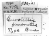 CollectionObject 1533427; 6932c50c-8720-4ae9-b9d3-6242e8a223ba, USNM 9752: Image Carbonell, C.S. labels (holotype). (CollectionObject).