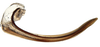 Ovipositor: !! display not done !! on Acostemmini Evans, 1972: Acostemma stilleri, 1st valvula (INHS). (Observation).