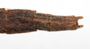 CollectionObject 1557026; bc4addf0-5bf2-4933-8b14-53221f2655d8: copyright MHNG Geneva. female: end of abdomen, dorsal view (lectotype). (CollectionObject).