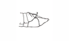 Dichroplus fuscus (Thunberg, 1815): Fig. 5. male abdomen tip, lateral view. (Otu).