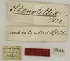 CollectionObject 1529710; faeb9ada-95c7-46dc-8b5d-577a87d5428f: labels (holotype). (CollectionObject).