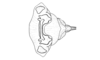Tropidostethus angusticollis (Blanchard, 1851): Fig. 171. phallic complex, dorsal view. (Otu).