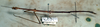 CollectionObject 1561610; NMW 321, e61eee9d-89a1-41da-bb04-0ffef0b0c3f8: copyright NMW, Vienna. male, lateral view (syntype). (CollectionObject).