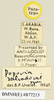 CollectionObject 1571043; c118c9cb-c257-4606-8ba1-297b1e47e246: labels (paratype). (CollectionObject).