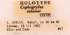 CollectionObject 1522846; 585610a4-fcf6-45a5-a6b1-e217438a5734: Male, labels (holotype). (CollectionObject).